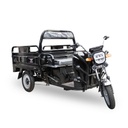 BRAVO TRICICLO ELECTRICO 1500W 60V32A NEGRO